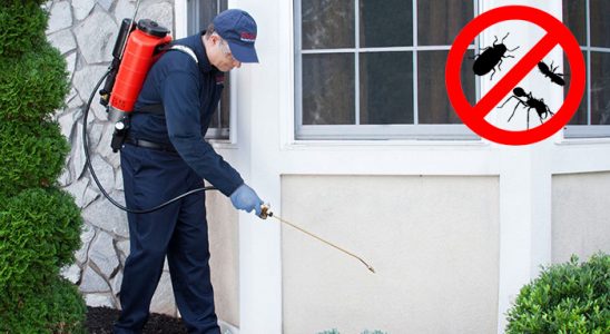 Çamardı Haşere İlaçlama böcek ilaçlama ve haşere kontrolü — ilaclama-tr.com